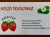 truskawka1